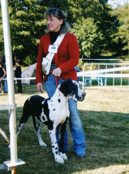Daisy du domaine des lisieres
